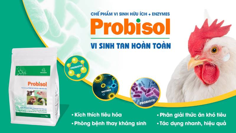 Thuoc Cai Thien He Tieu Hoa