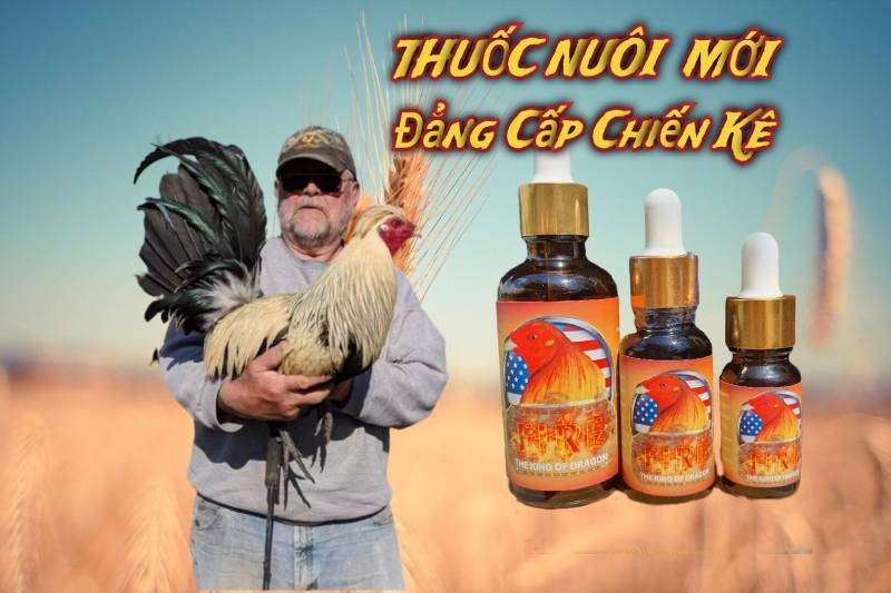 Thuoc Nuoi Ga Da Tot Nhat Khoe Manh Nang Cao Ky Nang Da